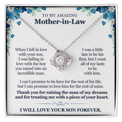 To My Mother-in-Law - Thank You for Raising The Man of My Dreams - Necklace Set