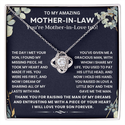 To My Mother In Law - Thank You for Raising The Man of My Dreams - Necklace